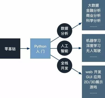 Python火热背后的人工智能崛起与基础软件开发